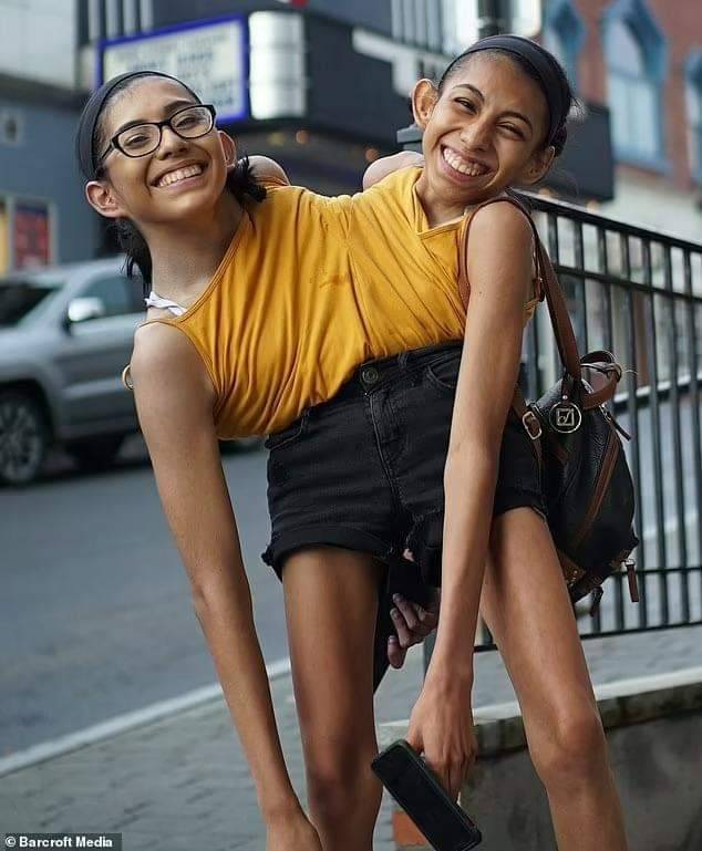 FB_IMG_1682599218051