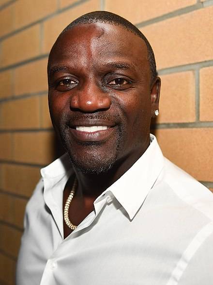 Akon_DF2_4639_(47859034612)_(cropped)