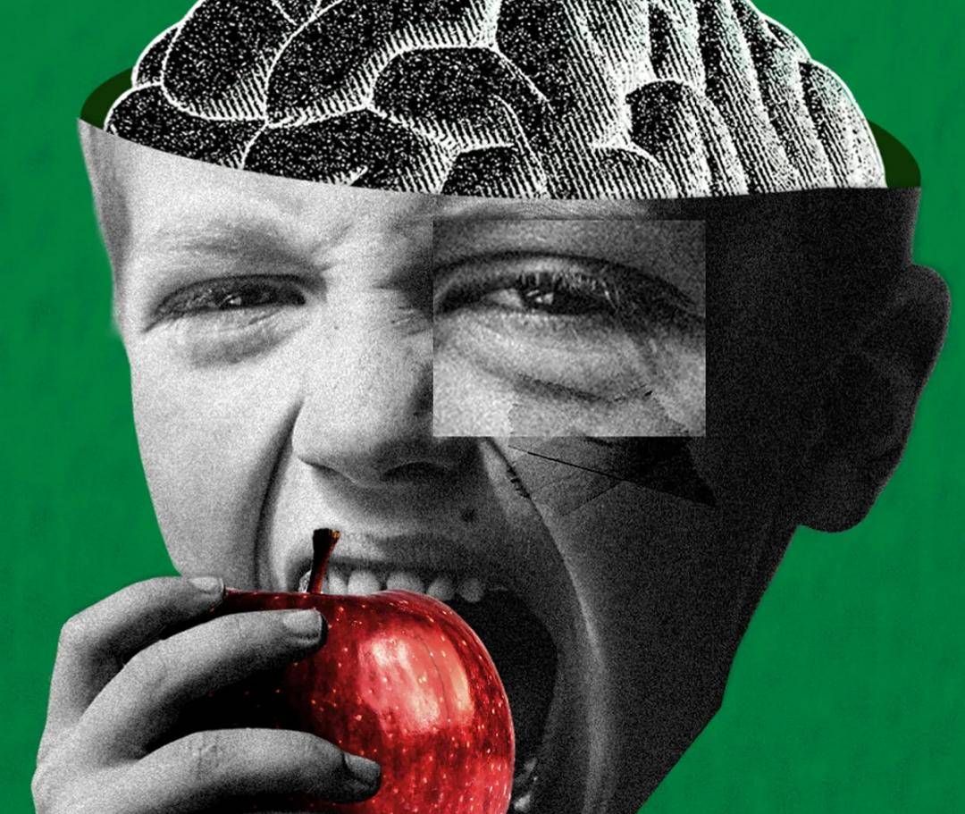 Brain Bran: The Protective Effect That Fibre Has On Cognition