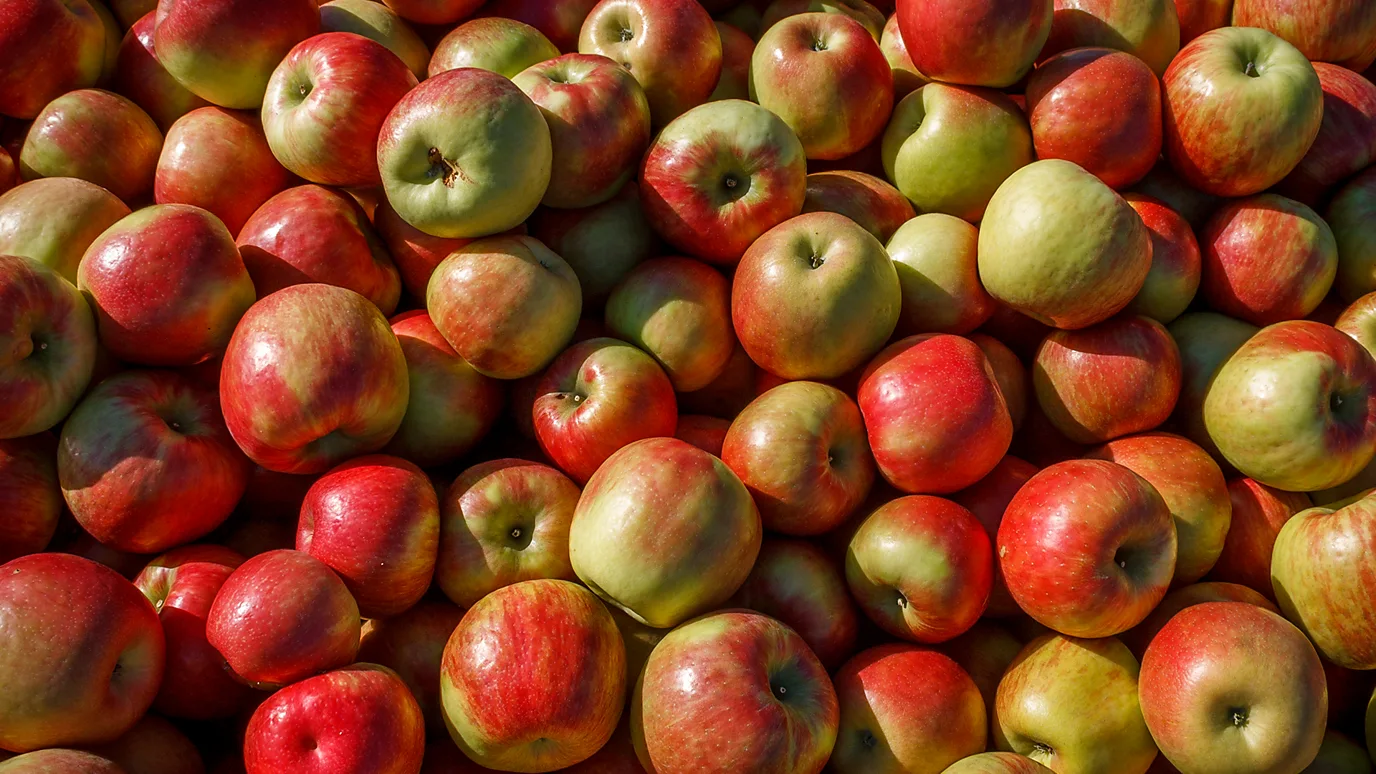 Is An Apple A Day Really Good For Your Health?