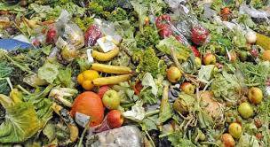 UNWANTED RECORD: Nigeria Is Africa’s Top Food Waster With 38m Tonnes Lost Annually