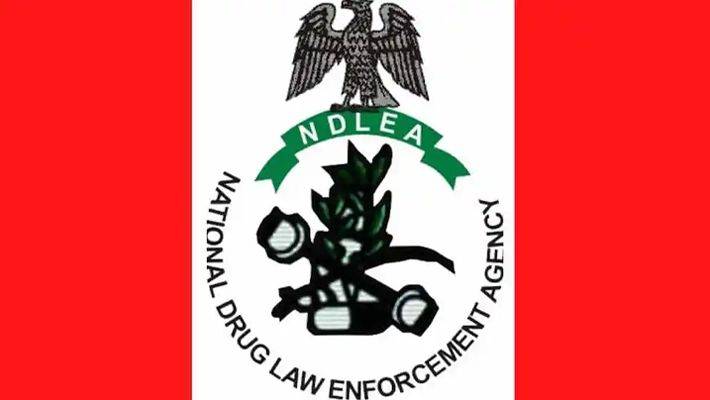 We Dismantled Largest Meth Lab, Arrested 9,769 Suspects In Five Months – NDLEA