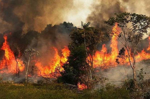 The Global Bush Fire: Prophecy Fulfilled — By Jide Osuntokun