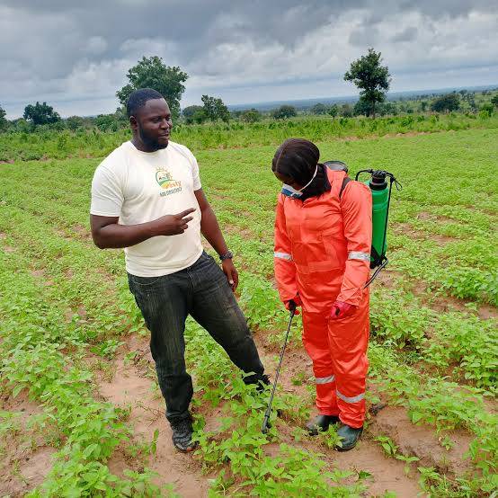 Study Shows Nigeria Ranks 2nd In Acute Pesticide Poisoning In West Africa