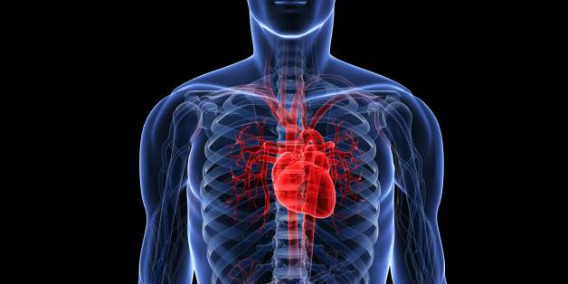 Cardiovascular Diseases Leading Cause Of Premature Deaths Globally, Says Expert