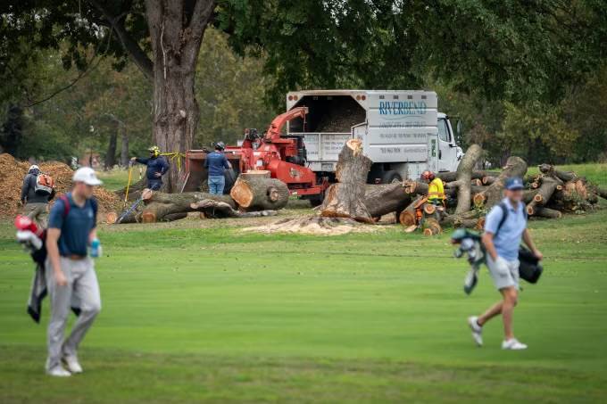 Judge ‘Furious’ As 430 Trees Are Chopped Down From Golf Course Trump Wants To Renovate