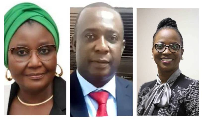 NHRC Board Nominees: Senate Clears Vanguard’s Eze Anaba, Others